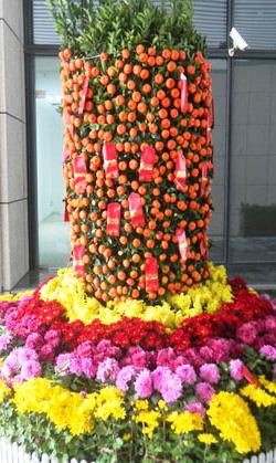 花?；ɑ苎ūP苗